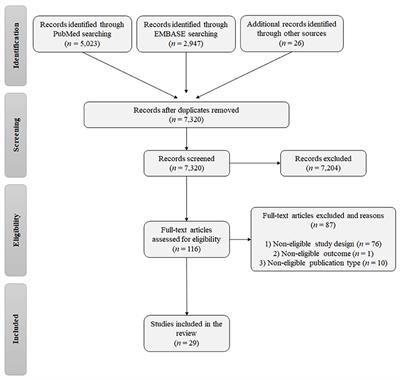 Genetic Susceptibility to Drug Teratogenicity: A Systematic Literature Review